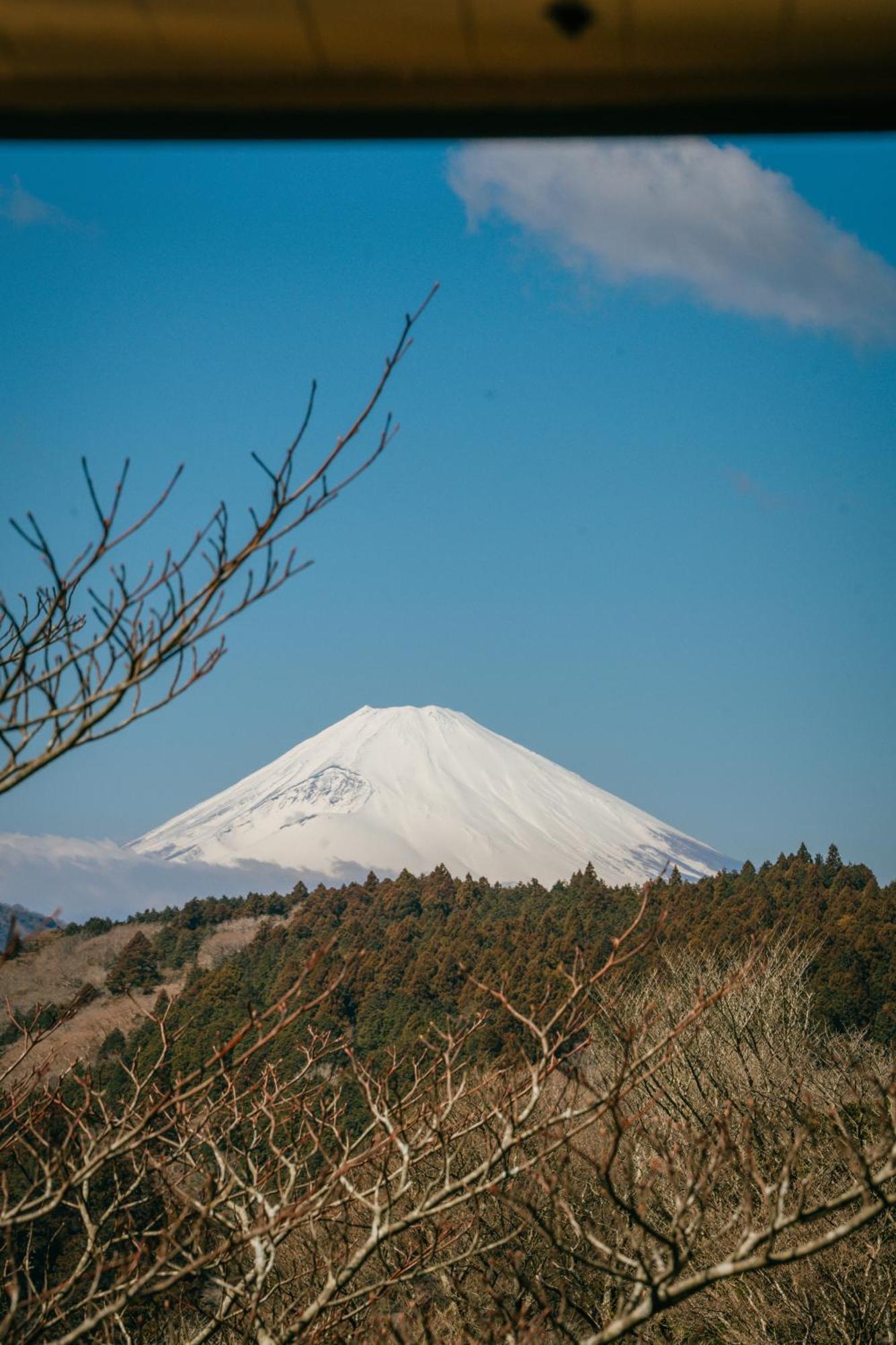 Hébergement de vacances 富士山の眺望- 超高6メートルロフト- 芦ノ湖, 鳥居が目の前に - 究極露天bbq